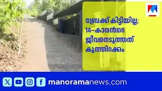 സൈക്കിൾ മതിലിലിടിച്ച് 14–കാരന് ദാരുണാന്ത്യം; വില്ലനായത് ബ്രേക്ക് ഇല്ലാത്ത സൈക്കിൾ ​| Elanthoor