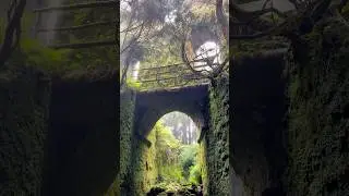 A&ccedil;ores Vibes 😱🌿📸