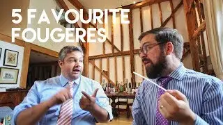 5 Favourite Fougeres