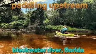 Searching for the Perfect Sandbar | Paddling the Blackwater River
