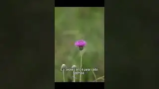 3 erros que fazem qualquer pessoa desistir da renda extra