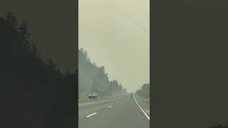 Smoke Everywhere!😱😢#shortsviral #smoke #wildfires