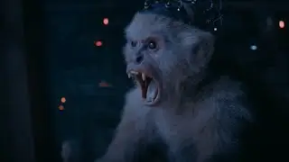 Superman (2025) Monkey Bots