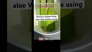 Remove poison that makes skin itchy before using aloe Vera #aloevera #aloe #hairgrowth