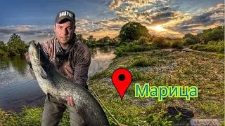 🐟Малки ама рибки.😝 Риболов на река Марица. Сом, Кефал.Spining fishing Maritza river | Catfish, Chub🐟