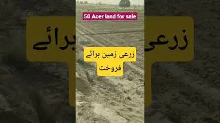 land for sale|50 Acer land|citrus on 35 Acer