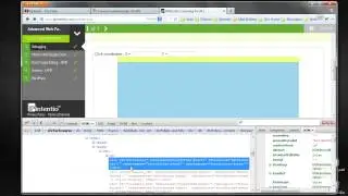 Web Page Debug - Firebug in Forefox