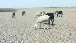 Ironical picture of weather in India