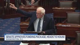 Shutdown proposal pits Democrats' progressives against centrist Senate dealmakers