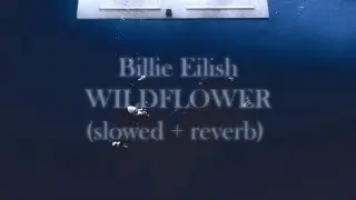 Billie Eilish - Wildflower (Perfectly Slowed + Reverb 'Ethereal')