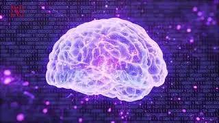 Multiple Personality Disorder May Be The Answer To The Riddle Of Consciousness