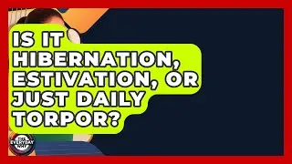 Is It Hibernation, Estivation, Or Just Daily Torpor? - The Everyday Why