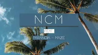 Paranoia - Maze {No Copyright Music 2020}