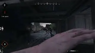 BEST FANNING EVER 🤩✨ | Hunt Showdown