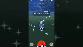 Shiny Houndour in #pokemongo #shinypokemon