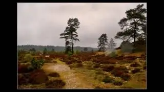K&AElig;R EST DU, F&Oslash;DELAND - Ove Verner Hansen med medlemmer af Det kongelige Kapel