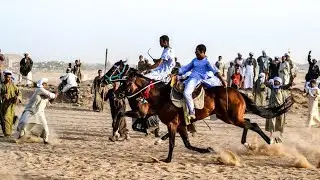 حصاد ليلة مرماح الدير ٢٠٢٤