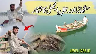 Singara Aur Tilapia Machli Ka Shikar | Fishing On Boat | Mangla Dam Fishing