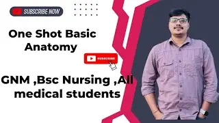 Human Anatomy Basics | Complete Introduction Basic Anatomy for BSc Nursing &Medical Students