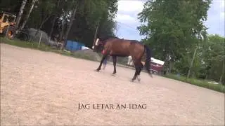 Jag tänkte på oss..