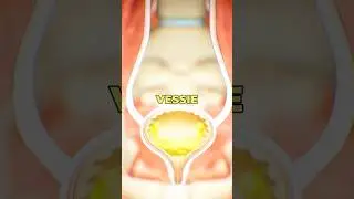 Retenir son urine peut &ecirc;tre fatal 😱