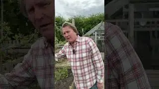 Apple Tree Pollination