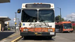 [RETIRED] MiWay - Route 61N: Mavis (New Flyer D40LF 0338)