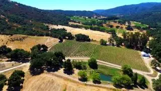 Central Coast Wine Country
