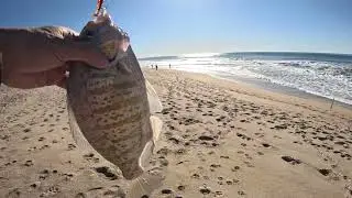2025/12/28 Surfperch fishing at Halfmoon Bay 