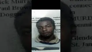 MY GUN IS MY BEST FRIEND, Cedric Doggie Murray, The Diary of Cedric Murray