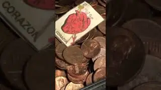 I Turned My Coins Into Real Cash tiktok bbren duhh