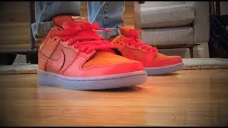 Nike Dunk SB Gamma Orange/Fire & Ice Review & On Feet