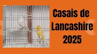 12 de agosto de 2025