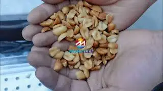 Peanut Strip Cutting Machine| Almond Striping Machine| Pistachio Strip Cutter#peanut#almond#cutter