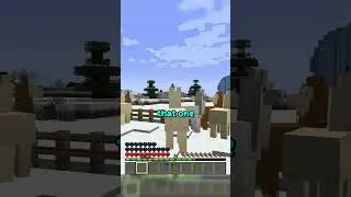 Играть в прятки, будучи ламой, невозможно! #minecraft #gaming