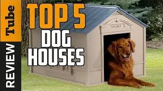 Dog House: Best Dog Houses [2025]