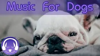 Pet Therapy Music to Help Dogs with Anxiety! De-Stress and Calm Your Dog with this Natural Remedy!
