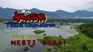 Mini Amazon Tasik Chenderoh - Drone footage.