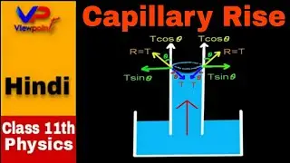 🔴 Surface Tension-5 || ASCENT formula Capillary rise || class 11th physics fluid dynamics