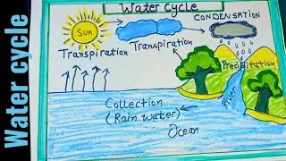 Water Cycle Project|Water Cycle Science Project||Water Cycle Easy Drawing || How to draw Water Cycle
