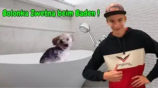 Bolonka Zwetna Pflege: So badest du deinen kleinen Freund richtig ! 🧽 Schritt-für-Schritt Anleitung