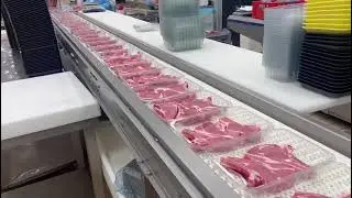 P5-RGO High Speed Tray Sealer