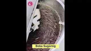【O's Bubble Instant Boba】Frozen Instant Boba Pack Production Process - O's bubble