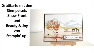 #Anleitung - zwei Stempelsets miteinander kombiniert - Snow Front und Beauty & Joy von Stampin' up!