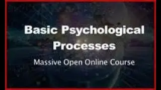 3. Structure of a Neuron &ndash;Neural process, Neurotransmitters