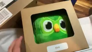 Обезьяна 🦧 получает в подарок сову «Duolingo» 🦉 🎁