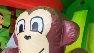 Jungle Activity Bouncer | Inflatable Fun | SJ's Leisure