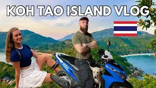 A Week In Koh Tao Island | Secret mountain top party, famous view points & more! 🇹🇭