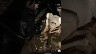 ولادة ناقة معسر خطوة بخطوة.Dystocia in shecamel step by step.