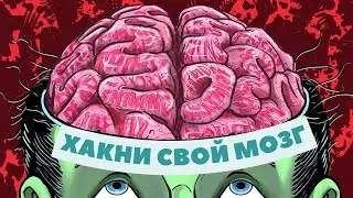КАК Я СОЗДАВАЛ НЕЙРОЛАБИРИНТ ИЛИ КАК ХАКНУТЬ МОЗГ. Brain biohacking.
